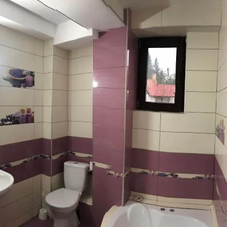 Pensiunea Iulius-3