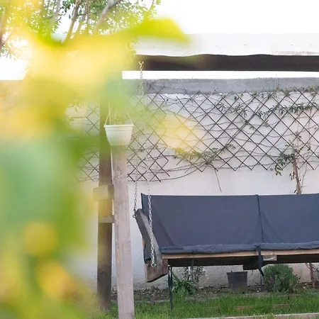 Casa Dumitrescu-3