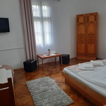 Vila Viorica-2