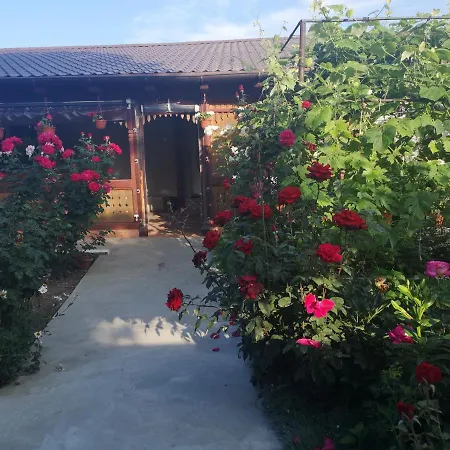 Casa Delia-2
