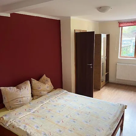 Chalet Forest Valea Avrigului-3