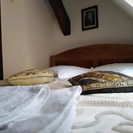 Pensiunea Lelila Inn-2