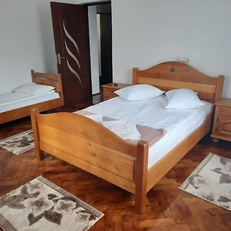 Vila Viorica-3