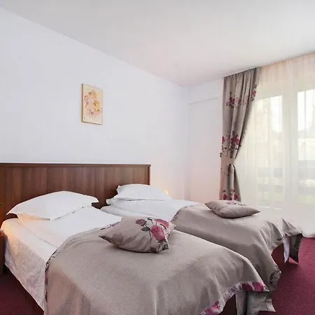 Hotel Domnitei-3