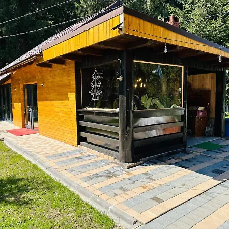 Casa Voronet-2