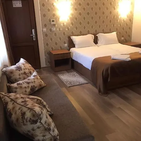 Pensiunea Casa Coroana Orăștie-2