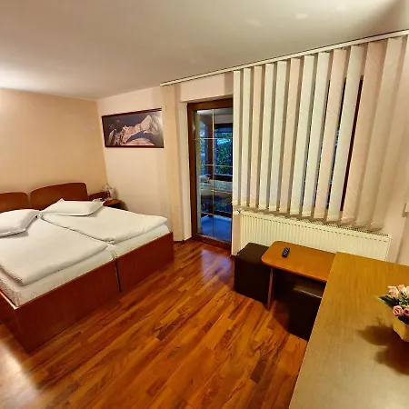 Casa Sion Sinaia-2
