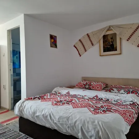 Casa de Vacanta Neagu-3
