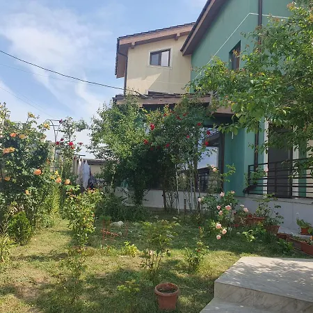 Vila Fara Nume-3