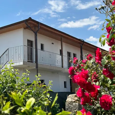 Vila Bloom-3