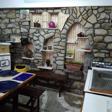 Casa Puiu-2