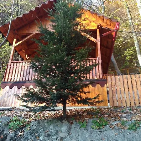 Casa Puiu-3