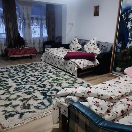 Sara Dambovicioara-3
