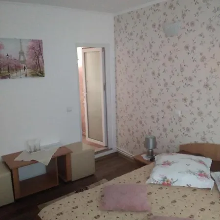 Vila Bogdan-3