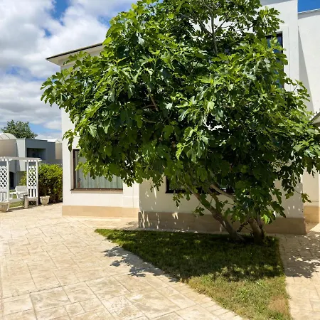 Avenue Venus - Avenue Hotels-2