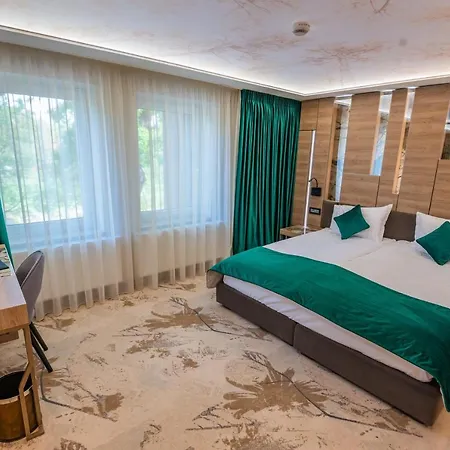 Hotel Codrişor-2