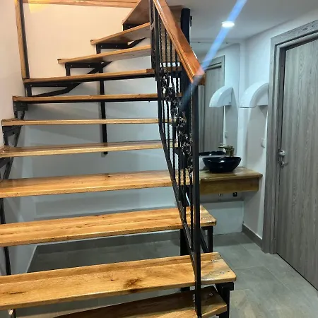 Vila Micsunica-3