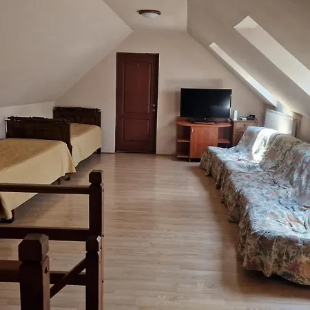 Casa De Oaspeti " Rodica"-2