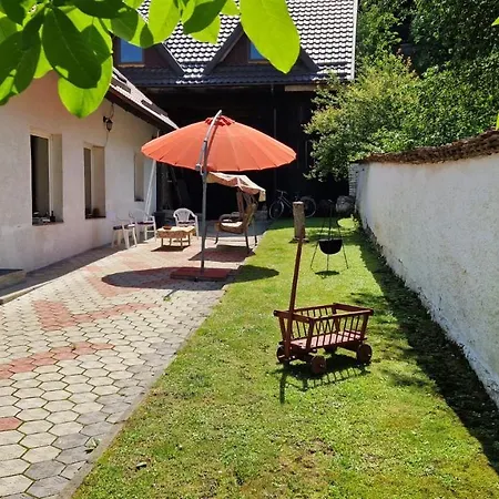 Casa De Oaspeti " Rodica"-3