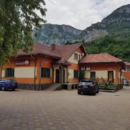 Casa Orhideea-2