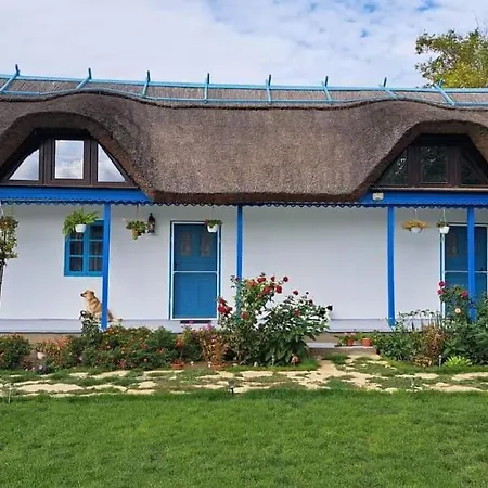 Pensiunea Casa Golovita-2