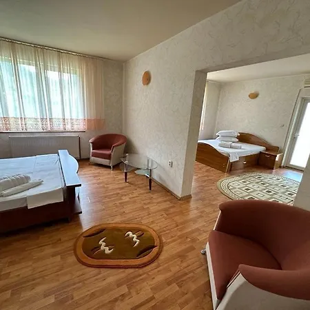 Casa Orhideea-3