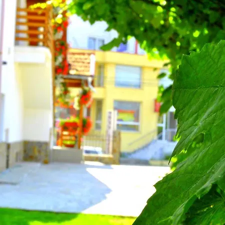 Pensiunea Ruxi-3