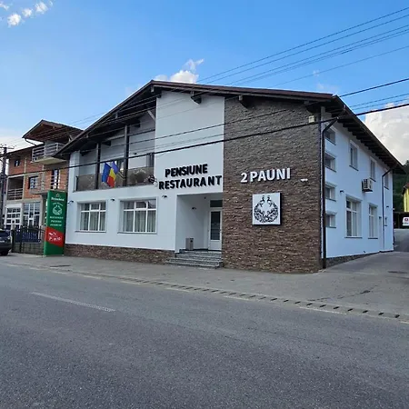 Pensiune Restaurant Pizzerie 2 Păuni-2