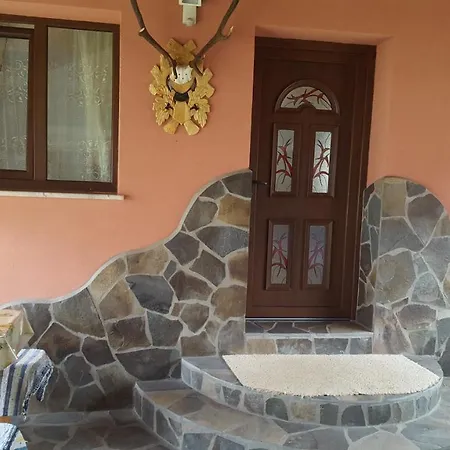 Casa Crenguta-2