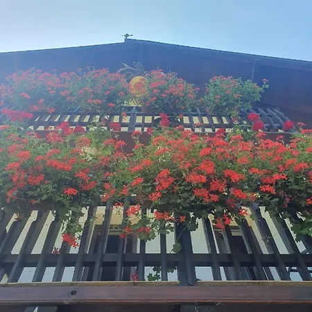 Casa Flavius 2-2