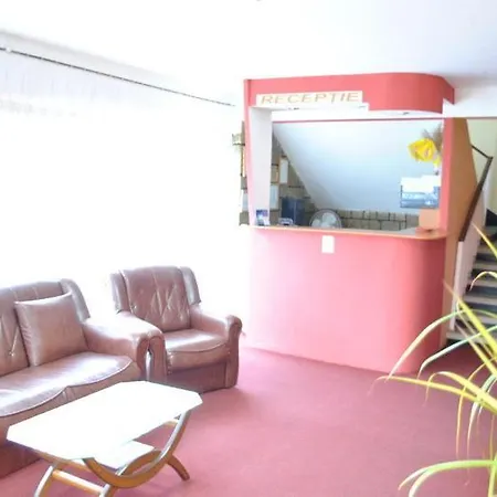 Hotel Arta-3