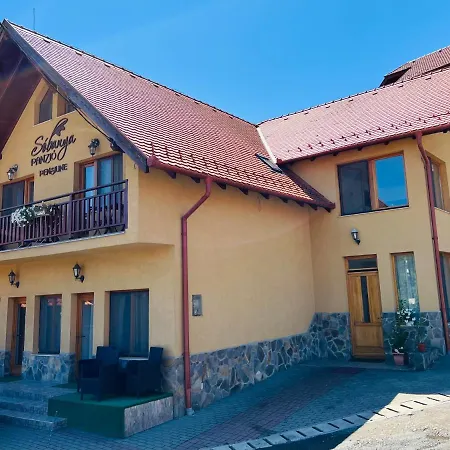 Sobanya Panzio-3