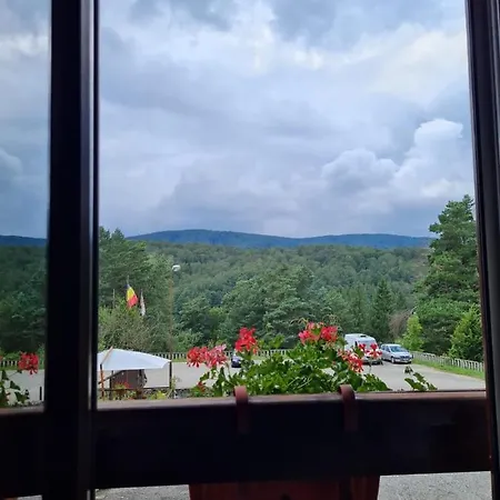 Randunica-2
