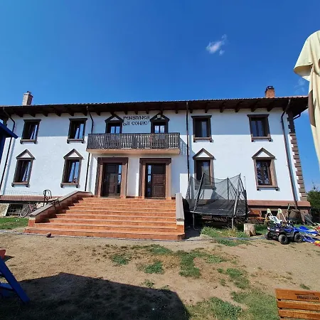 Pensiunea La Conac-3