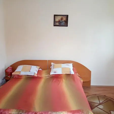 Casa Olanescu-3