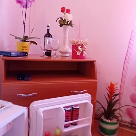 Casa Dănuț-2