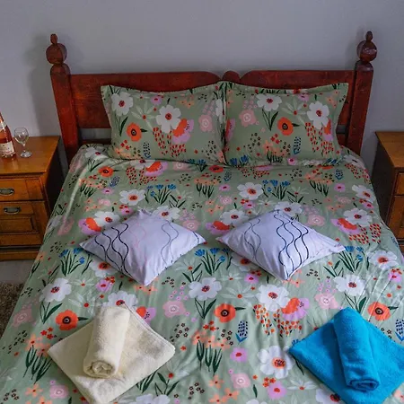 Casa Calin-3