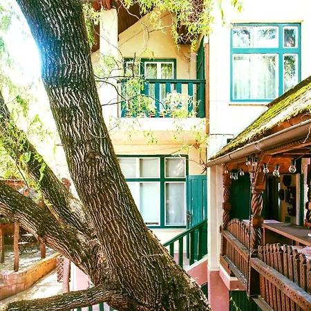 Ratiu House-3