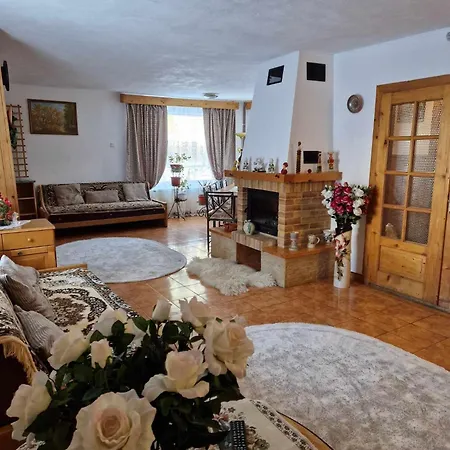 Pensiunea Veturia-3