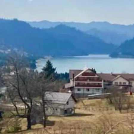 Casa de vacanță Perla Colibitei-2