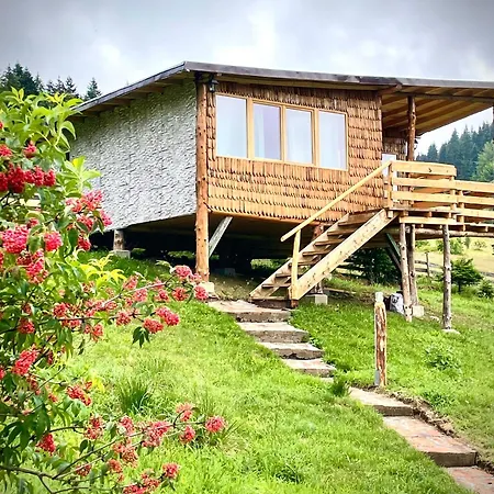 Harmonie Tree House Cotagges Chalet Predeal Trei Brazi-3