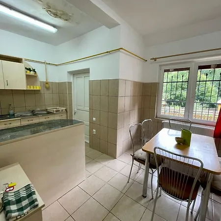 Casa Fenyves Vendeghaz-2