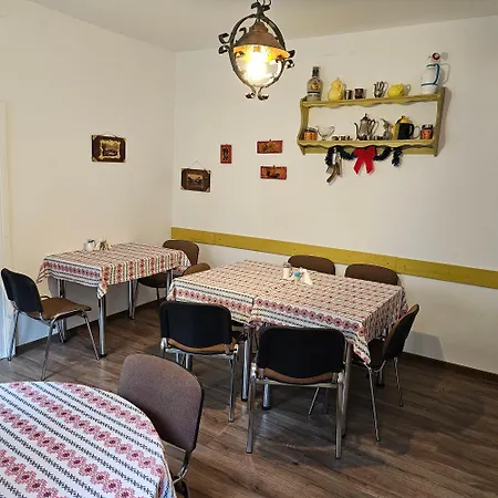 Guesthouse Casa Baciu-3