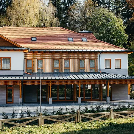Villa Bellini Borszek-2