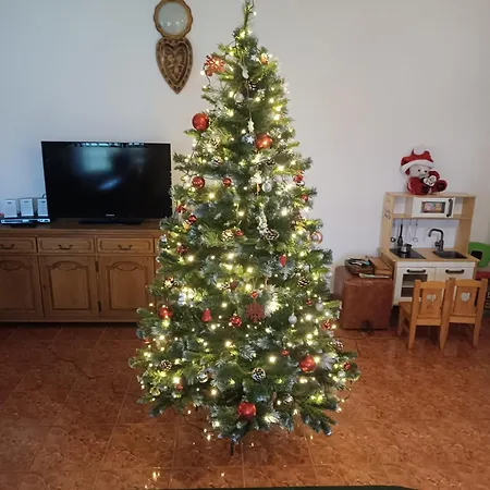 Casa cu Păuni-2