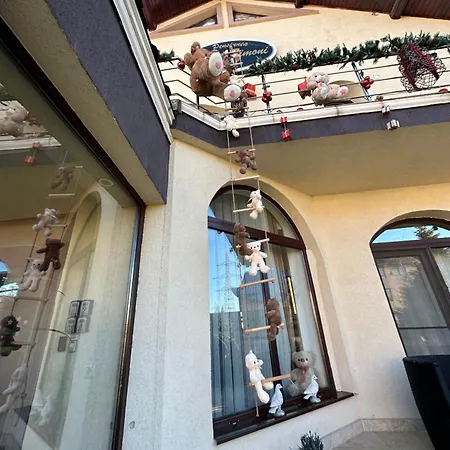 Pensiunea Casa Simoni-3
