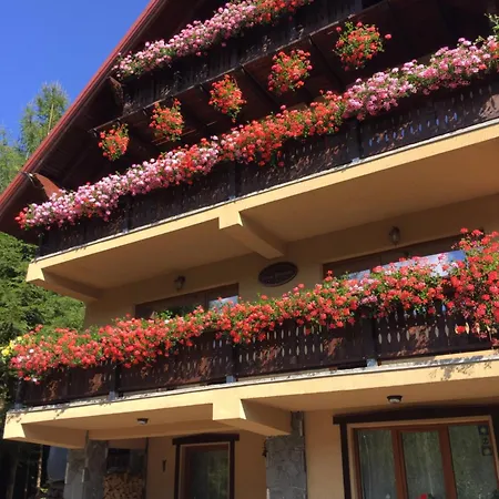 Pensiunea Casa Bogdan Azuga-3