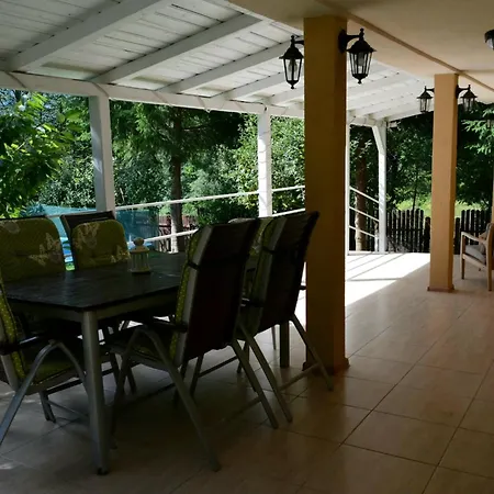 Casa Aris Lepsa Vrancea-2