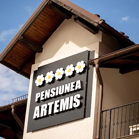Artemis Villa-3