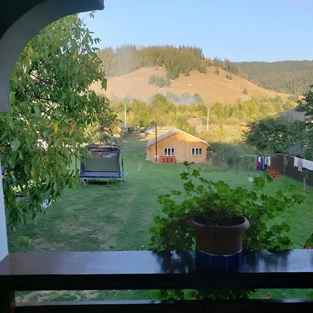 Casa Nicoleta-2